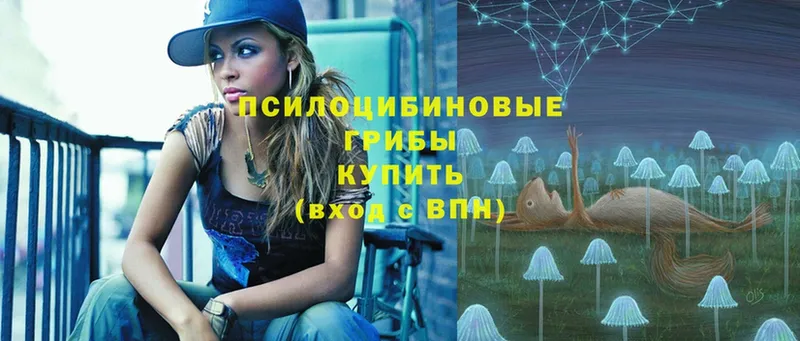 Псилоцибиновые грибы Psilocybe  Починок 